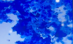 cyt 4